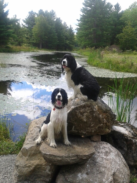 Ellie May & Emily
