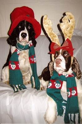 Buster and Hunter