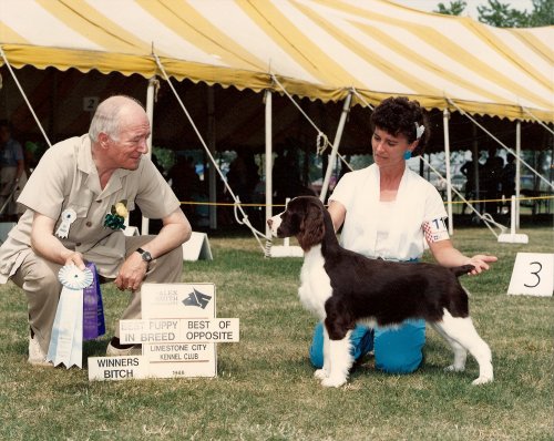 Ch Nanjay's Carryover To Karmadi CD