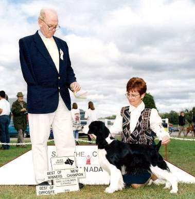Ch Karmadi's Diamonds Are Forever