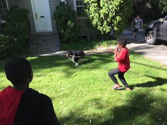 Alphie playing