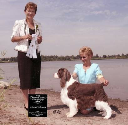 Angie winning Fourth in Veteran at the English Springer Spaniel National Specialty, August 2008