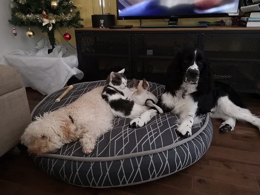 Arthur and friends
