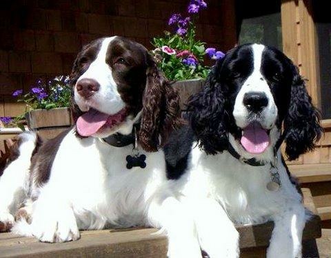 Bailey & Murphey