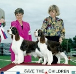English Springer Spaniel image: Angie wiinning Best Opposite Sex to brother Broker