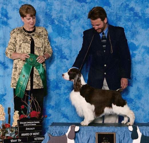 A/C/Ber Ch Brymar's Driving Miss Daisy CD CDX NA NAJ CGC ROMX