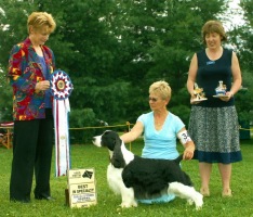 Cagney winning Best In Specialty Show at the English Springer Spaniel National Specialty