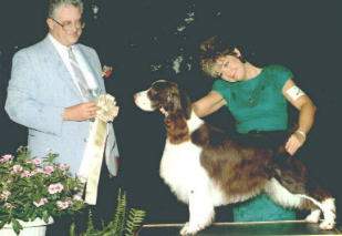 Ch Dalin Silverhill Straight Up