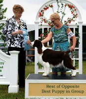 Dara winning Best Puppy In Group & Best Opposite Sex under Judge Honey Glendinning