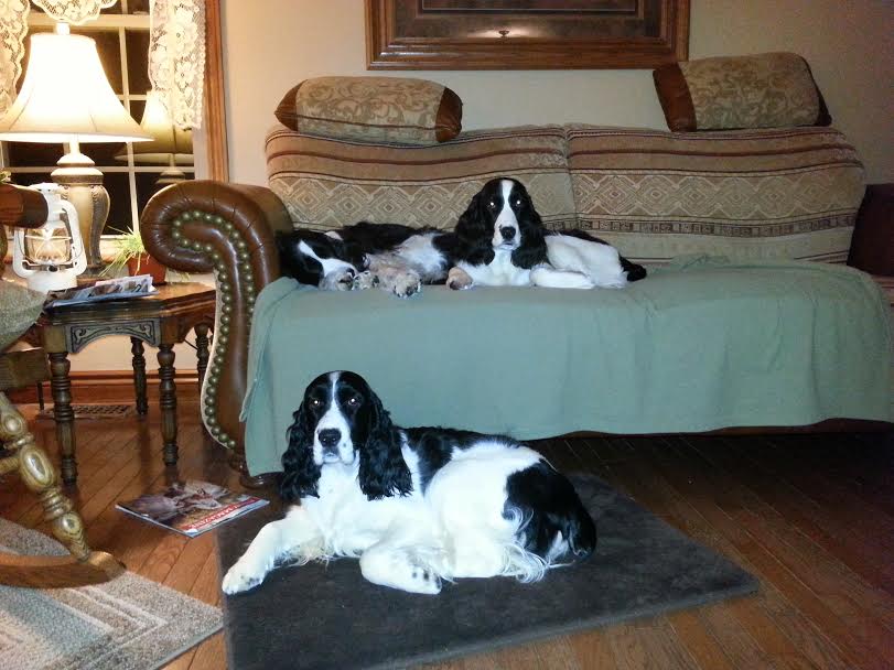Dottie, Charlotte & Phoebe