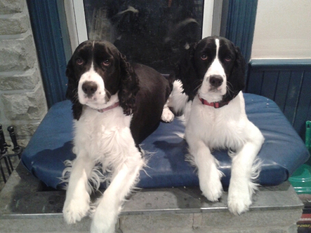 Emily and EllieMay