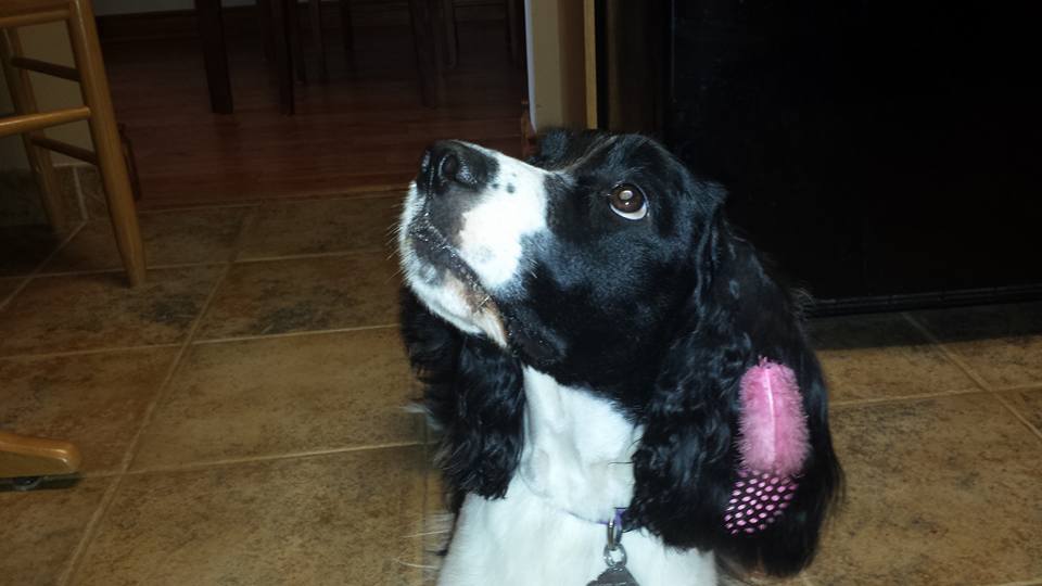 Emmie