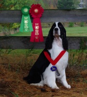 Hockey with the ribbons he won at the ESSFTA National in Warwick, Rhode Island