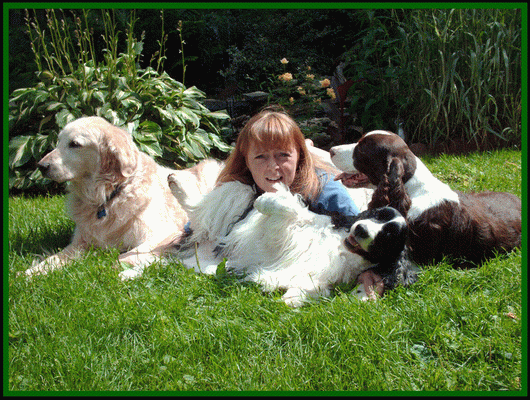 Image of Jake (golden retriever), my daughter in law, Penny, and springer spaniels Lacey (black/white) and Blue (liver/white)