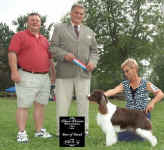 English Springer Spaniel image:  Ch Karmadi's In Style 'Katie'