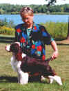 English Springer Spaniel photo: A/C Ch Karmadi's American Girl ADC (AAC), AGN (CKC), NA (AKC), NAJ (AKC)
