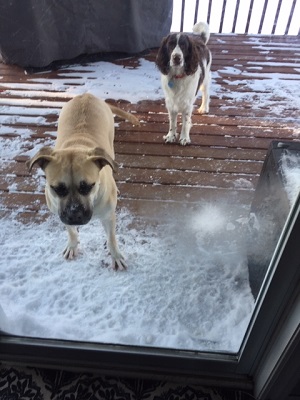  Chloe and Maggie