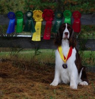 Marker with the ribbons he won at the ESSFTA National in Warwick, Rhode Island