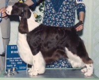 Ch Ocoee Faux Paw