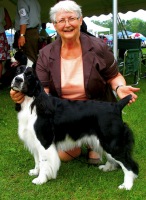 English Springer Spaniel Karmadi's Rose Garden 'Summer' with her owner Carol Chatland.