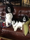 Susie and Slice