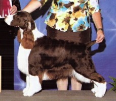 Teegan winning a Group 2nd