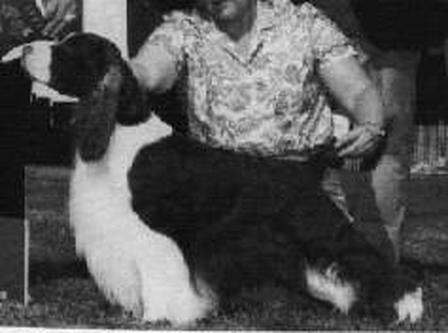 Ch Telltale Royal Stuart