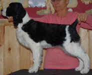 token-dec-08-stack.jpg (29455 bytes)